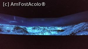 [P26] Capul Nord, filmul » foto by elenaadina
 - 
<span class="allrVoted glyphicon glyphicon-heart hidden" id="av1524560"></span>
<a class="m-l-10 hidden" id="sv1524560" onclick="voting_Foto_DelVot(,1524560,3499)" role="button">șterge vot <span class="glyphicon glyphicon-remove"></span></a>
<a id="v91524560" class=" c-red"  onclick="voting_Foto_SetVot(1524560)" role="button"><span class="glyphicon glyphicon-heart-empty"></span> <b>LIKE</b> = Votează poza</a> <img class="hidden"  id="f1524560W9" src="/imagini/loader.gif" border="0" /><span class="AjErrMes hidden" id="e1524560ErM"></span>