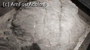 [P55]  -- <small>// FĂRĂ DESCRIERE</small> » foto by elenaadina
 - 
<span class="allrVoted glyphicon glyphicon-heart hidden" id="av1524589"></span>
<a class="m-l-10 hidden" id="sv1524589" onclick="voting_Foto_DelVot(,1524589,3499)" role="button">șterge vot <span class="glyphicon glyphicon-remove"></span></a>
<a id="v91524589" class=" c-red"  onclick="voting_Foto_SetVot(1524589)" role="button"><span class="glyphicon glyphicon-heart-empty"></span> <b>LIKE</b> = Votează poza</a> <img class="hidden"  id="f1524589W9" src="/imagini/loader.gif" border="0" /><span class="AjErrMes hidden" id="e1524589ErM"></span>