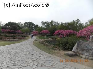 [P29] Beijing, Grădina Botanică, o zonă fără chinezi, am reușit!  » foto by mprofeanu
 - 
<span class="allrVoted glyphicon glyphicon-heart hidden" id="av736639"></span>
<a class="m-l-10 hidden" id="sv736639" onclick="voting_Foto_DelVot(,736639,3501)" role="button">șterge vot <span class="glyphicon glyphicon-remove"></span></a>
<a id="v9736639" class=" c-red"  onclick="voting_Foto_SetVot(736639)" role="button"><span class="glyphicon glyphicon-heart-empty"></span> <b>LIKE</b> = Votează poza</a> <img class="hidden"  id="f736639W9" src="/imagini/loader.gif" border="0" /><span class="AjErrMes hidden" id="e736639ErM"></span>
