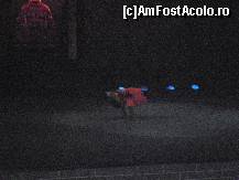 [P20] idem,exercitiul executat de unul din cei mai tineri elevi » foto by grecudoina
 - 
<span class="allrVoted glyphicon glyphicon-heart hidden" id="av309167"></span>
<a class="m-l-10 hidden" id="sv309167" onclick="voting_Foto_DelVot(,309167,3501)" role="button">șterge vot <span class="glyphicon glyphicon-remove"></span></a>
<a id="v9309167" class=" c-red"  onclick="voting_Foto_SetVot(309167)" role="button"><span class="glyphicon glyphicon-heart-empty"></span> <b>LIKE</b> = Votează poza</a> <img class="hidden"  id="f309167W9" src="/imagini/loader.gif" border="0" /><span class="AjErrMes hidden" id="e309167ErM"></span>