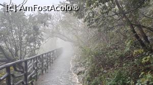 [P41]  -- <small>// FĂRĂ DESCRIERE</small> » foto by elenaadina
 - 
<span class="allrVoted glyphicon glyphicon-heart hidden" id="av1505641"></span>
<a class="m-l-10 hidden" id="sv1505641" onclick="voting_Foto_DelVot(,1505641,3501)" role="button">șterge vot <span class="glyphicon glyphicon-remove"></span></a>
<a id="v91505641" class=" c-red"  onclick="voting_Foto_SetVot(1505641)" role="button"><span class="glyphicon glyphicon-heart-empty"></span> <b>LIKE</b> = Votează poza</a> <img class="hidden"  id="f1505641W9" src="/imagini/loader.gif" border="0" /><span class="AjErrMes hidden" id="e1505641ErM"></span>