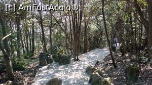 [P67]  -- <small>// FĂRĂ DESCRIERE</small> » foto by elenaadina
 - 
<span class="allrVoted glyphicon glyphicon-heart hidden" id="av1505667"></span>
<a class="m-l-10 hidden" id="sv1505667" onclick="voting_Foto_DelVot(,1505667,3501)" role="button">șterge vot <span class="glyphicon glyphicon-remove"></span></a>
<a id="v91505667" class=" c-red"  onclick="voting_Foto_SetVot(1505667)" role="button"><span class="glyphicon glyphicon-heart-empty"></span> <b>LIKE</b> = Votează poza</a> <img class="hidden"  id="f1505667W9" src="/imagini/loader.gif" border="0" /><span class="AjErrMes hidden" id="e1505667ErM"></span>