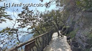 [P76]  -- <small>// FĂRĂ DESCRIERE</small> » foto by elenaadina
 - 
<span class="allrVoted glyphicon glyphicon-heart hidden" id="av1505676"></span>
<a class="m-l-10 hidden" id="sv1505676" onclick="voting_Foto_DelVot(,1505676,3501)" role="button">șterge vot <span class="glyphicon glyphicon-remove"></span></a>
<a id="v91505676" class=" c-red"  onclick="voting_Foto_SetVot(1505676)" role="button"><span class="glyphicon glyphicon-heart-empty"></span> <b>LIKE</b> = Votează poza</a> <img class="hidden"  id="f1505676W9" src="/imagini/loader.gif" border="0" /><span class="AjErrMes hidden" id="e1505676ErM"></span>