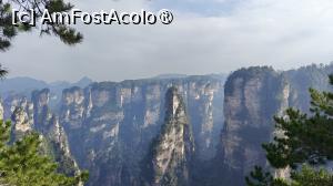 [P54]  -- <small>// FĂRĂ DESCRIERE</small> » foto by elenaadina
 - 
<span class="allrVoted glyphicon glyphicon-heart hidden" id="av1506543"></span>
<a class="m-l-10 hidden" id="sv1506543" onclick="voting_Foto_DelVot(,1506543,3501)" role="button">șterge vot <span class="glyphicon glyphicon-remove"></span></a>
<a id="v91506543" class=" c-red"  onclick="voting_Foto_SetVot(1506543)" role="button"><span class="glyphicon glyphicon-heart-empty"></span> <b>LIKE</b> = Votează poza</a> <img class="hidden"  id="f1506543W9" src="/imagini/loader.gif" border="0" /><span class="AjErrMes hidden" id="e1506543ErM"></span>