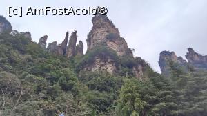 [P66]  -- <small>// FĂRĂ DESCRIERE</small> » foto by elenaadina
 - 
<span class="allrVoted glyphicon glyphicon-heart hidden" id="av1506555"></span>
<a class="m-l-10 hidden" id="sv1506555" onclick="voting_Foto_DelVot(,1506555,3501)" role="button">șterge vot <span class="glyphicon glyphicon-remove"></span></a>
<a id="v91506555" class=" c-red"  onclick="voting_Foto_SetVot(1506555)" role="button"><span class="glyphicon glyphicon-heart-empty"></span> <b>LIKE</b> = Votează poza</a> <img class="hidden"  id="f1506555W9" src="/imagini/loader.gif" border="0" /><span class="AjErrMes hidden" id="e1506555ErM"></span>