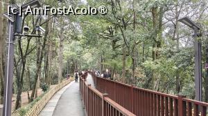 [P80] drumul spre Bailong Elevator, partea de sus » foto by elenaadina
 - 
<span class="allrVoted glyphicon glyphicon-heart hidden" id="av1506569"></span>
<a class="m-l-10 hidden" id="sv1506569" onclick="voting_Foto_DelVot(,1506569,3501)" role="button">șterge vot <span class="glyphicon glyphicon-remove"></span></a>
<a id="v91506569" class=" c-red"  onclick="voting_Foto_SetVot(1506569)" role="button"><span class="glyphicon glyphicon-heart-empty"></span> <b>LIKE</b> = Votează poza</a> <img class="hidden"  id="f1506569W9" src="/imagini/loader.gif" border="0" /><span class="AjErrMes hidden" id="e1506569ErM"></span>