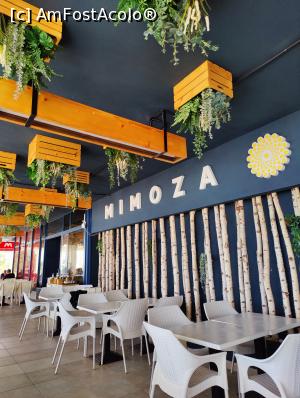 [P48] Pe terasa Mimoza » foto by crismis
 - 
<span class="allrVoted glyphicon glyphicon-heart hidden" id="av1332651"></span>
<a class="m-l-10 hidden" id="sv1332651" onclick="voting_Foto_DelVot(,1332651,3506)" role="button">șterge vot <span class="glyphicon glyphicon-remove"></span></a>
<a id="v91332651" class=" c-red"  onclick="voting_Foto_SetVot(1332651)" role="button"><span class="glyphicon glyphicon-heart-empty"></span> <b>LIKE</b> = Votează poza</a> <img class="hidden"  id="f1332651W9" src="/imagini/loader.gif" border="0" /><span class="AjErrMes hidden" id="e1332651ErM"></span>