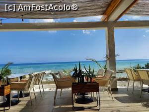 [P49] Pe terasa Mimoza » foto by crismis
 - 
<span class="allrVoted glyphicon glyphicon-heart hidden" id="av1332652"></span>
<a class="m-l-10 hidden" id="sv1332652" onclick="voting_Foto_DelVot(,1332652,3506)" role="button">șterge vot <span class="glyphicon glyphicon-remove"></span></a>
<a id="v91332652" class=" c-red"  onclick="voting_Foto_SetVot(1332652)" role="button"><span class="glyphicon glyphicon-heart-empty"></span> <b>LIKE</b> = Votează poza</a> <img class="hidden"  id="f1332652W9" src="/imagini/loader.gif" border="0" /><span class="AjErrMes hidden" id="e1332652ErM"></span>