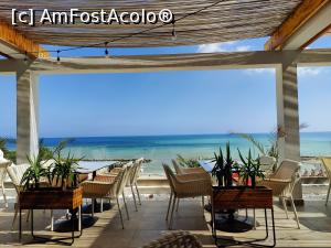 [P51] Pe terasa Mimoza » foto by crismis
 - 
<span class="allrVoted glyphicon glyphicon-heart hidden" id="av1332654"></span>
<a class="m-l-10 hidden" id="sv1332654" onclick="voting_Foto_DelVot(,1332654,3506)" role="button">șterge vot <span class="glyphicon glyphicon-remove"></span></a>
<a id="v91332654" class=" c-red"  onclick="voting_Foto_SetVot(1332654)" role="button"><span class="glyphicon glyphicon-heart-empty"></span> <b>LIKE</b> = Votează poza</a> <img class="hidden"  id="f1332654W9" src="/imagini/loader.gif" border="0" /><span class="AjErrMes hidden" id="e1332654ErM"></span>