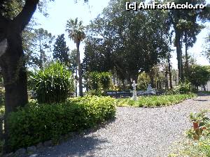 [P17] in parc » foto by amero
 - 
<span class="allrVoted glyphicon glyphicon-heart hidden" id="av668608"></span>
<a class="m-l-10 hidden" id="sv668608" onclick="voting_Foto_DelVot(,668608,3509)" role="button">șterge vot <span class="glyphicon glyphicon-remove"></span></a>
<a id="v9668608" class=" c-red"  onclick="voting_Foto_SetVot(668608)" role="button"><span class="glyphicon glyphicon-heart-empty"></span> <b>LIKE</b> = Votează poza</a> <img class="hidden"  id="f668608W9" src="/imagini/loader.gif" border="0" /><span class="AjErrMes hidden" id="e668608ErM"></span>