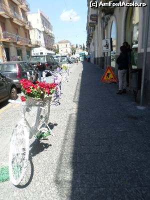 [P24] decor pe strada » foto by amero
 - 
<span class="allrVoted glyphicon glyphicon-heart hidden" id="av668620"></span>
<a class="m-l-10 hidden" id="sv668620" onclick="voting_Foto_DelVot(,668620,3509)" role="button">șterge vot <span class="glyphicon glyphicon-remove"></span></a>
<a id="v9668620" class=" c-red"  onclick="voting_Foto_SetVot(668620)" role="button"><span class="glyphicon glyphicon-heart-empty"></span> <b>LIKE</b> = Votează poza</a> <img class="hidden"  id="f668620W9" src="/imagini/loader.gif" border="0" /><span class="AjErrMes hidden" id="e668620ErM"></span>