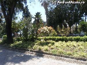 [P04] Parcul orasului in luna aprilie » foto by amero
 - 
<span class="allrVoted glyphicon glyphicon-heart hidden" id="av668586"></span>
<a class="m-l-10 hidden" id="sv668586" onclick="voting_Foto_DelVot(,668586,3509)" role="button">șterge vot <span class="glyphicon glyphicon-remove"></span></a>
<a id="v9668586" class=" c-red"  onclick="voting_Foto_SetVot(668586)" role="button"><span class="glyphicon glyphicon-heart-empty"></span> <b>LIKE</b> = Votează poza</a> <img class="hidden"  id="f668586W9" src="/imagini/loader.gif" border="0" /><span class="AjErrMes hidden" id="e668586ErM"></span>