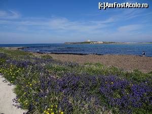 [P04] Locul de intalnire al celor doua mari - Mediterana si Ionica » foto by BOGDAN DSN
 - 
<span class="allrVoted glyphicon glyphicon-heart hidden" id="av687510"></span>
<a class="m-l-10 hidden" id="sv687510" onclick="voting_Foto_DelVot(,687510,3509)" role="button">șterge vot <span class="glyphicon glyphicon-remove"></span></a>
<a id="v9687510" class=" c-red"  onclick="voting_Foto_SetVot(687510)" role="button"><span class="glyphicon glyphicon-heart-empty"></span> <b>LIKE</b> = Votează poza</a> <img class="hidden"  id="f687510W9" src="/imagini/loader.gif" border="0" /><span class="AjErrMes hidden" id="e687510ErM"></span>
