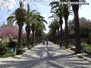 [P09] Ragusa - Giardini Ibleo » foto by BOGDAN DSN
 - 
<span class="allrVoted glyphicon glyphicon-heart hidden" id="av687516"></span>
<a class="m-l-10 hidden" id="sv687516" onclick="voting_Foto_DelVot(,687516,3509)" role="button">șterge vot <span class="glyphicon glyphicon-remove"></span></a>
<a id="v9687516" class=" c-red"  onclick="voting_Foto_SetVot(687516)" role="button"><span class="glyphicon glyphicon-heart-empty"></span> <b>LIKE</b> = Votează poza</a> <img class="hidden"  id="f687516W9" src="/imagini/loader.gif" border="0" /><span class="AjErrMes hidden" id="e687516ErM"></span>