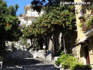 [P02] O straduta cu portocali in Taormina » foto by BOGDAN DSN
 - 
<span class="allrVoted glyphicon glyphicon-heart hidden" id="av688045"></span>
<a class="m-l-10 hidden" id="sv688045" onclick="voting_Foto_DelVot(,688045,3509)" role="button">șterge vot <span class="glyphicon glyphicon-remove"></span></a>
<a id="v9688045" class=" c-red"  onclick="voting_Foto_SetVot(688045)" role="button"><span class="glyphicon glyphicon-heart-empty"></span> <b>LIKE</b> = Votează poza</a> <img class="hidden"  id="f688045W9" src="/imagini/loader.gif" border="0" /><span class="AjErrMes hidden" id="e688045ErM"></span>