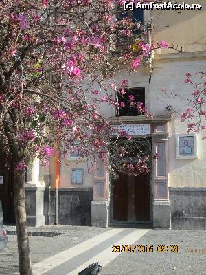 [P11] Catania, langa gara, biserica ortodoxa romana.  » foto by olga
 - 
<span class="allrVoted glyphicon glyphicon-heart hidden" id="av620610"></span>
<a class="m-l-10 hidden" id="sv620610" onclick="voting_Foto_DelVot(,620610,3509)" role="button">șterge vot <span class="glyphicon glyphicon-remove"></span></a>
<a id="v9620610" class=" c-red"  onclick="voting_Foto_SetVot(620610)" role="button"><span class="glyphicon glyphicon-heart-empty"></span> <b>LIKE</b> = Votează poza</a> <img class="hidden"  id="f620610W9" src="/imagini/loader.gif" border="0" /><span class="AjErrMes hidden" id="e620610ErM"></span>