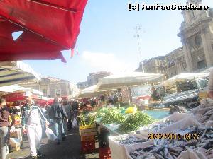 [P13] Catania, piata zilnica 1.  » foto by olga
 - 
<span class="allrVoted glyphicon glyphicon-heart hidden" id="av620629"></span>
<a class="m-l-10 hidden" id="sv620629" onclick="voting_Foto_DelVot(,620629,3509)" role="button">șterge vot <span class="glyphicon glyphicon-remove"></span></a>
<a id="v9620629" class=" c-red"  onclick="voting_Foto_SetVot(620629)" role="button"><span class="glyphicon glyphicon-heart-empty"></span> <b>LIKE</b> = Votează poza</a> <img class="hidden"  id="f620629W9" src="/imagini/loader.gif" border="0" /><span class="AjErrMes hidden" id="e620629ErM"></span>