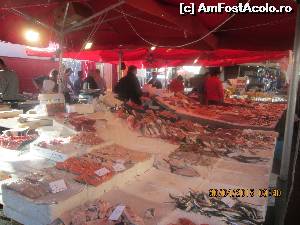 [P17] Catania, piata.  » foto by olga
 - 
<span class="allrVoted glyphicon glyphicon-heart hidden" id="av620638"></span>
<a class="m-l-10 hidden" id="sv620638" onclick="voting_Foto_DelVot(,620638,3509)" role="button">șterge vot <span class="glyphicon glyphicon-remove"></span></a>
<a id="v9620638" class=" c-red"  onclick="voting_Foto_SetVot(620638)" role="button"><span class="glyphicon glyphicon-heart-empty"></span> <b>LIKE</b> = Votează poza</a> <img class="hidden"  id="f620638W9" src="/imagini/loader.gif" border="0" /><span class="AjErrMes hidden" id="e620638ErM"></span>