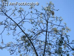 [P01] In cautarea frumusetii acestei zone am descoperit o magnolie alba (si e octombrie)  » foto by bica adriana
 - 
<span class="allrVoted glyphicon glyphicon-heart hidden" id="av919087"></span>
<a class="m-l-10 hidden" id="sv919087" onclick="voting_Foto_DelVot(,919087,3509)" role="button">șterge vot <span class="glyphicon glyphicon-remove"></span></a>
<a id="v9919087" class=" c-red"  onclick="voting_Foto_SetVot(919087)" role="button"><span class="glyphicon glyphicon-heart-empty"></span> <b>LIKE</b> = Votează poza</a> <img class="hidden"  id="f919087W9" src="/imagini/loader.gif" border="0" /><span class="AjErrMes hidden" id="e919087ErM"></span>