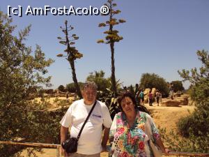 [P01] Valea Templelor - mica grădină cu arbori şi cactuşi ce duce către Templul lui Hercule.  » foto by Carmen Ion
 - 
<span class="allrVoted glyphicon glyphicon-heart hidden" id="av712722"></span>
<a class="m-l-10 hidden" id="sv712722" onclick="voting_Foto_DelVot(,712722,3509)" role="button">șterge vot <span class="glyphicon glyphicon-remove"></span></a>
<a id="v9712722" class=" c-red"  onclick="voting_Foto_SetVot(712722)" role="button"><span class="glyphicon glyphicon-heart-empty"></span> <b>LIKE</b> = Votează poza</a> <img class="hidden"  id="f712722W9" src="/imagini/loader.gif" border="0" /><span class="AjErrMes hidden" id="e712722ErM"></span>