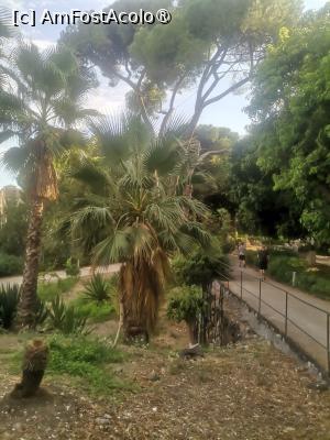 [P14] Hai-hui prin Parcul Bellini » foto by dorgo
 - 
<span class="allrVoted glyphicon glyphicon-heart hidden" id="av1510011"></span>
<a class="m-l-10 hidden" id="sv1510011" onclick="voting_Foto_DelVot(,1510011,3509)" role="button">șterge vot <span class="glyphicon glyphicon-remove"></span></a>
<a id="v91510011" class=" c-red"  onclick="voting_Foto_SetVot(1510011)" role="button"><span class="glyphicon glyphicon-heart-empty"></span> <b>LIKE</b> = Votează poza</a> <img class="hidden"  id="f1510011W9" src="/imagini/loader.gif" border="0" /><span class="AjErrMes hidden" id="e1510011ErM"></span>