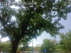 [P21] Se vede Casa Poporului » foto by Mioritik
 - 
<span class="allrVoted glyphicon glyphicon-heart hidden" id="av1365104"></span>
<a class="m-l-10 hidden" id="sv1365104" onclick="voting_Foto_DelVot(,1365104,3511)" role="button">șterge vot <span class="glyphicon glyphicon-remove"></span></a>
<a id="v91365104" class=" c-red"  onclick="voting_Foto_SetVot(1365104)" role="button"><span class="glyphicon glyphicon-heart-empty"></span> <b>LIKE</b> = Votează poza</a> <img class="hidden"  id="f1365104W9" src="/imagini/loader.gif" border="0" /><span class="AjErrMes hidden" id="e1365104ErM"></span>