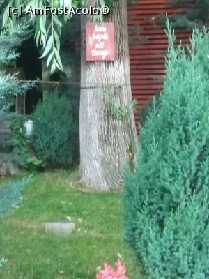 [P37] Grădina Palatului Bragadiru » foto by Mioritik
 - 
<span class="allrVoted glyphicon glyphicon-heart hidden" id="av1365120"></span>
<a class="m-l-10 hidden" id="sv1365120" onclick="voting_Foto_DelVot(,1365120,3511)" role="button">șterge vot <span class="glyphicon glyphicon-remove"></span></a>
<a id="v91365120" class=" c-red"  onclick="voting_Foto_SetVot(1365120)" role="button"><span class="glyphicon glyphicon-heart-empty"></span> <b>LIKE</b> = Votează poza</a> <img class="hidden"  id="f1365120W9" src="/imagini/loader.gif" border="0" /><span class="AjErrMes hidden" id="e1365120ErM"></span>