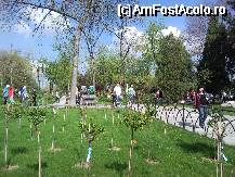 [P05] PARCUL NOSTRU DRAG IOR- AL.I.CUZA » foto by kmy
 - 
<span class="allrVoted glyphicon glyphicon-heart hidden" id="av65324"></span>
<a class="m-l-10 hidden" id="sv65324" onclick="voting_Foto_DelVot(,65324,3511)" role="button">șterge vot <span class="glyphicon glyphicon-remove"></span></a>
<a id="v965324" class=" c-red"  onclick="voting_Foto_SetVot(65324)" role="button"><span class="glyphicon glyphicon-heart-empty"></span> <b>LIKE</b> = Votează poza</a> <img class="hidden"  id="f65324W9" src="/imagini/loader.gif" border="0" /><span class="AjErrMes hidden" id="e65324ErM"></span>