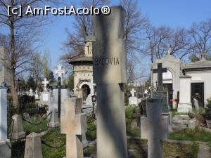 [P19] Cimitirul Bellu - Morm&acirc;ntul lui George Bacovia și al soției sale. » foto by iulianic
 - 
<span class="allrVoted glyphicon glyphicon-heart hidden" id="av1216493"></span>
<a class="m-l-10 hidden" id="sv1216493" onclick="voting_Foto_DelVot(,1216493,3511)" role="button">șterge vot <span class="glyphicon glyphicon-remove"></span></a>
<a id="v91216493" class=" c-red"  onclick="voting_Foto_SetVot(1216493)" role="button"><span class="glyphicon glyphicon-heart-empty"></span> <b>LIKE</b> = Votează poza</a> <img class="hidden"  id="f1216493W9" src="/imagini/loader.gif" border="0" /><span class="AjErrMes hidden" id="e1216493ErM"></span>