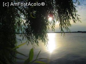 [P16]  -- <small>// FĂRĂ DESCRIERE</small> » foto by vulpe mihaela
 - 
<span class="allrVoted glyphicon glyphicon-heart hidden" id="av965018"></span>
<a class="m-l-10 hidden" id="sv965018" onclick="voting_Foto_DelVot(,965018,3511)" role="button">șterge vot <span class="glyphicon glyphicon-remove"></span></a>
<a id="v9965018" class=" c-red"  onclick="voting_Foto_SetVot(965018)" role="button"><span class="glyphicon glyphicon-heart-empty"></span> <b>LIKE</b> = Votează poza</a> <img class="hidden"  id="f965018W9" src="/imagini/loader.gif" border="0" /><span class="AjErrMes hidden" id="e965018ErM"></span>