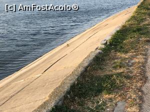 [P05] Malul lacului » foto by Dan&Ema
 - 
<span class="allrVoted glyphicon glyphicon-heart hidden" id="av1019991"></span>
<a class="m-l-10 hidden" id="sv1019991" onclick="voting_Foto_DelVot(,1019991,3511)" role="button">șterge vot <span class="glyphicon glyphicon-remove"></span></a>
<a id="v91019991" class=" c-red"  onclick="voting_Foto_SetVot(1019991)" role="button"><span class="glyphicon glyphicon-heart-empty"></span> <b>LIKE</b> = Votează poza</a> <img class="hidden"  id="f1019991W9" src="/imagini/loader.gif" border="0" /><span class="AjErrMes hidden" id="e1019991ErM"></span>