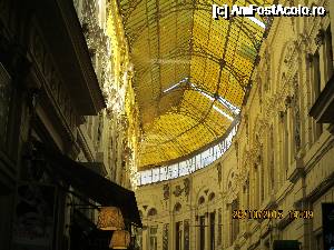 [P02]  -- <small>// FĂRĂ DESCRIERE</small> » foto by elviramvio
 - 
<span class="allrVoted glyphicon glyphicon-heart hidden" id="av687083"></span>
<a class="m-l-10 hidden" id="sv687083" onclick="voting_Foto_DelVot(,687083,3511)" role="button">șterge vot <span class="glyphicon glyphicon-remove"></span></a>
<a id="v9687083" class=" c-red"  onclick="voting_Foto_SetVot(687083)" role="button"><span class="glyphicon glyphicon-heart-empty"></span> <b>LIKE</b> = Votează poza</a> <img class="hidden"  id="f687083W9" src="/imagini/loader.gif" border="0" /><span class="AjErrMes hidden" id="e687083ErM"></span>