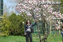 [P11]  -- <small>// FĂRĂ DESCRIERE</small> » foto by ileanaxperta*
 - 
<span class="allrVoted glyphicon glyphicon-heart hidden" id="av195534"></span>
<a class="m-l-10 hidden" id="sv195534" onclick="voting_Foto_DelVot(,195534,3511)" role="button">șterge vot <span class="glyphicon glyphicon-remove"></span></a>
<a id="v9195534" class=" c-red"  onclick="voting_Foto_SetVot(195534)" role="button"><span class="glyphicon glyphicon-heart-empty"></span> <b>LIKE</b> = Votează poza</a> <img class="hidden"  id="f195534W9" src="/imagini/loader.gif" border="0" /><span class="AjErrMes hidden" id="e195534ErM"></span>