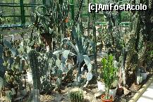 [P17]  -- <small>// FĂRĂ DESCRIERE</small> » foto by ileanaxperta*
 - 
<span class="allrVoted glyphicon glyphicon-heart hidden" id="av195540"></span>
<a class="m-l-10 hidden" id="sv195540" onclick="voting_Foto_DelVot(,195540,3511)" role="button">șterge vot <span class="glyphicon glyphicon-remove"></span></a>
<a id="v9195540" class=" c-red"  onclick="voting_Foto_SetVot(195540)" role="button"><span class="glyphicon glyphicon-heart-empty"></span> <b>LIKE</b> = Votează poza</a> <img class="hidden"  id="f195540W9" src="/imagini/loader.gif" border="0" /><span class="AjErrMes hidden" id="e195540ErM"></span>