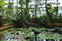 [P21]  -- <small>// FĂRĂ DESCRIERE</small> » foto by ileanaxperta*
 - 
<span class="allrVoted glyphicon glyphicon-heart hidden" id="av195544"></span>
<a class="m-l-10 hidden" id="sv195544" onclick="voting_Foto_DelVot(,195544,3511)" role="button">șterge vot <span class="glyphicon glyphicon-remove"></span></a>
<a id="v9195544" class=" c-red"  onclick="voting_Foto_SetVot(195544)" role="button"><span class="glyphicon glyphicon-heart-empty"></span> <b>LIKE</b> = Votează poza</a> <img class="hidden"  id="f195544W9" src="/imagini/loader.gif" border="0" /><span class="AjErrMes hidden" id="e195544ErM"></span>