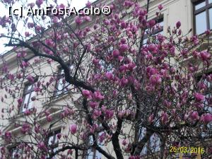 [P28] Si iar la dreapta, pe langa Banca Nationala » foto by cristina47*
 - 
<span class="allrVoted glyphicon glyphicon-heart hidden" id="av725131"></span>
<a class="m-l-10 hidden" id="sv725131" onclick="voting_Foto_DelVot(,725131,3511)" role="button">șterge vot <span class="glyphicon glyphicon-remove"></span></a>
<a id="v9725131" class=" c-red"  onclick="voting_Foto_SetVot(725131)" role="button"><span class="glyphicon glyphicon-heart-empty"></span> <b>LIKE</b> = Votează poza</a> <img class="hidden"  id="f725131W9" src="/imagini/loader.gif" border="0" /><span class="AjErrMes hidden" id="e725131ErM"></span>