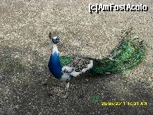 [P15]  -- <small>// FĂRĂ DESCRIERE</small> » foto by adryana
 - 
<span class="allrVoted glyphicon glyphicon-heart hidden" id="av204022"></span>
<a class="m-l-10 hidden" id="sv204022" onclick="voting_Foto_DelVot(,204022,3511)" role="button">șterge vot <span class="glyphicon glyphicon-remove"></span></a>
<a id="v9204022" class=" c-red"  onclick="voting_Foto_SetVot(204022)" role="button"><span class="glyphicon glyphicon-heart-empty"></span> <b>LIKE</b> = Votează poza</a> <img class="hidden"  id="f204022W9" src="/imagini/loader.gif" border="0" /><span class="AjErrMes hidden" id="e204022ErM"></span>