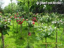 [P19]  -- <small>// FĂRĂ DESCRIERE</small> » foto by adryana
 - 
<span class="allrVoted glyphicon glyphicon-heart hidden" id="av204026"></span>
<a class="m-l-10 hidden" id="sv204026" onclick="voting_Foto_DelVot(,204026,3511)" role="button">șterge vot <span class="glyphicon glyphicon-remove"></span></a>
<a id="v9204026" class=" c-red"  onclick="voting_Foto_SetVot(204026)" role="button"><span class="glyphicon glyphicon-heart-empty"></span> <b>LIKE</b> = Votează poza</a> <img class="hidden"  id="f204026W9" src="/imagini/loader.gif" border="0" /><span class="AjErrMes hidden" id="e204026ErM"></span>