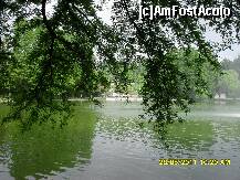 [P04]  -- <small>// FĂRĂ DESCRIERE</small> » foto by adryana
 - 
<span class="allrVoted glyphicon glyphicon-heart hidden" id="av204011"></span>
<a class="m-l-10 hidden" id="sv204011" onclick="voting_Foto_DelVot(,204011,3511)" role="button">șterge vot <span class="glyphicon glyphicon-remove"></span></a>
<a id="v9204011" class=" c-red"  onclick="voting_Foto_SetVot(204011)" role="button"><span class="glyphicon glyphicon-heart-empty"></span> <b>LIKE</b> = Votează poza</a> <img class="hidden"  id="f204011W9" src="/imagini/loader.gif" border="0" /><span class="AjErrMes hidden" id="e204011ErM"></span>