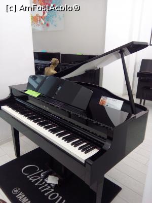 [P35] Magazinul Muzica - Calea Victoriei, numărul 41 – 43, București,  » foto by danaeldreny*
 - 
<span class="allrVoted glyphicon glyphicon-heart hidden" id="av858296"></span>
<a class="m-l-10 hidden" id="sv858296" onclick="voting_Foto_DelVot(,858296,3511)" role="button">șterge vot <span class="glyphicon glyphicon-remove"></span></a>
<a id="v9858296" class=" c-red"  onclick="voting_Foto_SetVot(858296)" role="button"><span class="glyphicon glyphicon-heart-empty"></span> <b>LIKE</b> = Votează poza</a> <img class="hidden"  id="f858296W9" src="/imagini/loader.gif" border="0" /><span class="AjErrMes hidden" id="e858296ErM"></span>