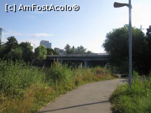 [P18] Aleea duce la podul Tei dar nu poţi urca &icirc;n şosea » foto by Michi
 - 
<span class="allrVoted glyphicon glyphicon-heart hidden" id="av1242722"></span>
<a class="m-l-10 hidden" id="sv1242722" onclick="voting_Foto_DelVot(,1242722,3511)" role="button">șterge vot <span class="glyphicon glyphicon-remove"></span></a>
<a id="v91242722" class=" c-red"  onclick="voting_Foto_SetVot(1242722)" role="button"><span class="glyphicon glyphicon-heart-empty"></span> <b>LIKE</b> = Votează poza</a> <img class="hidden"  id="f1242722W9" src="/imagini/loader.gif" border="0" /><span class="AjErrMes hidden" id="e1242722ErM"></span>