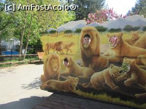 [P19] Machete &icirc;n parc » foto by Michi
 - 
<span class="allrVoted glyphicon glyphicon-heart hidden" id="av1259372"></span>
<a class="m-l-10 hidden" id="sv1259372" onclick="voting_Foto_DelVot(,1259372,3511)" role="button">șterge vot <span class="glyphicon glyphicon-remove"></span></a>
<a id="v91259372" class=" c-red"  onclick="voting_Foto_SetVot(1259372)" role="button"><span class="glyphicon glyphicon-heart-empty"></span> <b>LIKE</b> = Votează poza</a> <img class="hidden"  id="f1259372W9" src="/imagini/loader.gif" border="0" /><span class="AjErrMes hidden" id="e1259372ErM"></span>