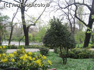 [P05] Primăvara &icirc;n Herăstrău » foto by Michi
 - 
<span class="allrVoted glyphicon glyphicon-heart hidden" id="av1259358"></span>
<a class="m-l-10 hidden" id="sv1259358" onclick="voting_Foto_DelVot(,1259358,3511)" role="button">șterge vot <span class="glyphicon glyphicon-remove"></span></a>
<a id="v91259358" class=" c-red"  onclick="voting_Foto_SetVot(1259358)" role="button"><span class="glyphicon glyphicon-heart-empty"></span> <b>LIKE</b> = Votează poza</a> <img class="hidden"  id="f1259358W9" src="/imagini/loader.gif" border="0" /><span class="AjErrMes hidden" id="e1259358ErM"></span>