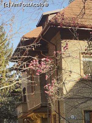 [P15] Cartier Floreasca, magnolie timidă pe Calea Floreasca » foto by Michi
 - 
<span class="allrVoted glyphicon glyphicon-heart hidden" id="av1357885"></span>
<a class="m-l-10 hidden" id="sv1357885" onclick="voting_Foto_DelVot(,1357885,3511)" role="button">șterge vot <span class="glyphicon glyphicon-remove"></span></a>
<a id="v91357885" class=" c-red"  onclick="voting_Foto_SetVot(1357885)" role="button"><span class="glyphicon glyphicon-heart-empty"></span> <b>LIKE</b> = Votează poza</a> <img class="hidden"  id="f1357885W9" src="/imagini/loader.gif" border="0" /><span class="AjErrMes hidden" id="e1357885ErM"></span>