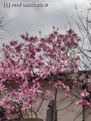 [P21] Cartier Floreasca, str. Chile » foto by Michi
 - 
<span class="allrVoted glyphicon glyphicon-heart hidden" id="av1357891"></span>
<a class="m-l-10 hidden" id="sv1357891" onclick="voting_Foto_DelVot(,1357891,3511)" role="button">șterge vot <span class="glyphicon glyphicon-remove"></span></a>
<a id="v91357891" class=" c-red"  onclick="voting_Foto_SetVot(1357891)" role="button"><span class="glyphicon glyphicon-heart-empty"></span> <b>LIKE</b> = Votează poza</a> <img class="hidden"  id="f1357891W9" src="/imagini/loader.gif" border="0" /><span class="AjErrMes hidden" id="e1357891ErM"></span>