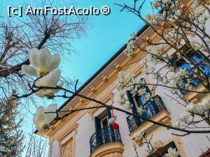 [P27] Blogul Dianei Robu » foto by Michi <span class="label label-default labelC_thin small">NEVOTABILĂ</span>