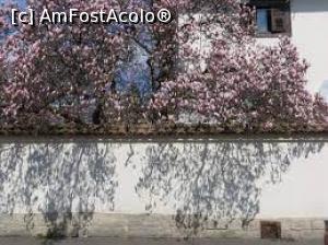 [P33] str. Mahatma Ghandi 8 » foto by Michi <span class="label label-default labelC_thin small">NEVOTABILĂ</span>