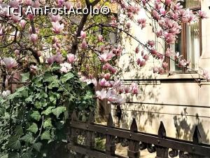 [P36] Str Barbu Delavrancea » foto by Michi <span class="label label-default labelC_thin small">NEVOTABILĂ</span>