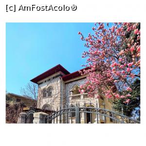 [P38] str. Docenţilor 16 » foto by Michi <span class="label label-default labelC_thin small">NEVOTABILĂ</span>