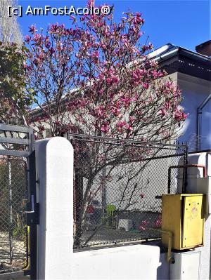 [P04] Cartier Floreasca, str. Donizetti » foto by Michi
 - 
<span class="allrVoted glyphicon glyphicon-heart hidden" id="av1357874"></span>
<a class="m-l-10 hidden" id="sv1357874" onclick="voting_Foto_DelVot(,1357874,3511)" role="button">șterge vot <span class="glyphicon glyphicon-remove"></span></a>
<a id="v91357874" class=" c-red"  onclick="voting_Foto_SetVot(1357874)" role="button"><span class="glyphicon glyphicon-heart-empty"></span> <b>LIKE</b> = Votează poza</a> <img class="hidden"  id="f1357874W9" src="/imagini/loader.gif" border="0" /><span class="AjErrMes hidden" id="e1357874ErM"></span>